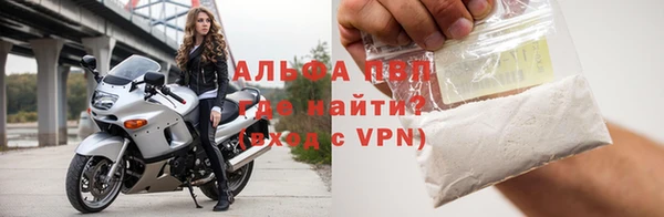 стаф Алексин
