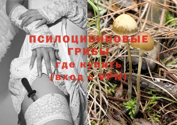 прущие крисы Алексеевка