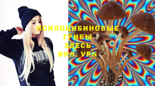 не бодяженный Абаза
