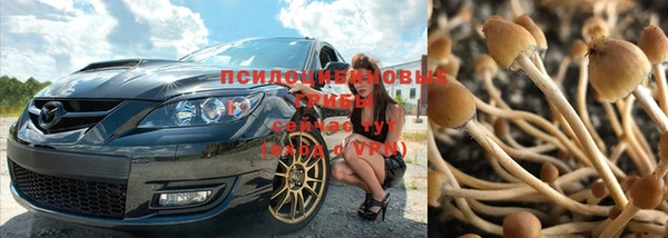 не бодяженный Абаза
