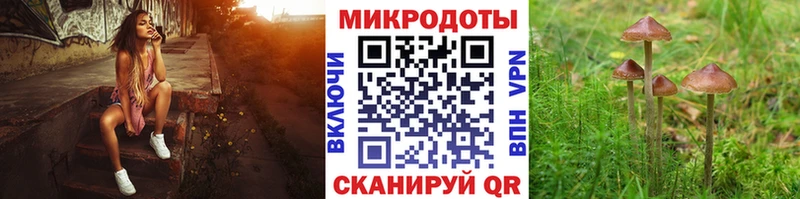 Псилоцибиновые грибы прущие грибы  Сухиничи 